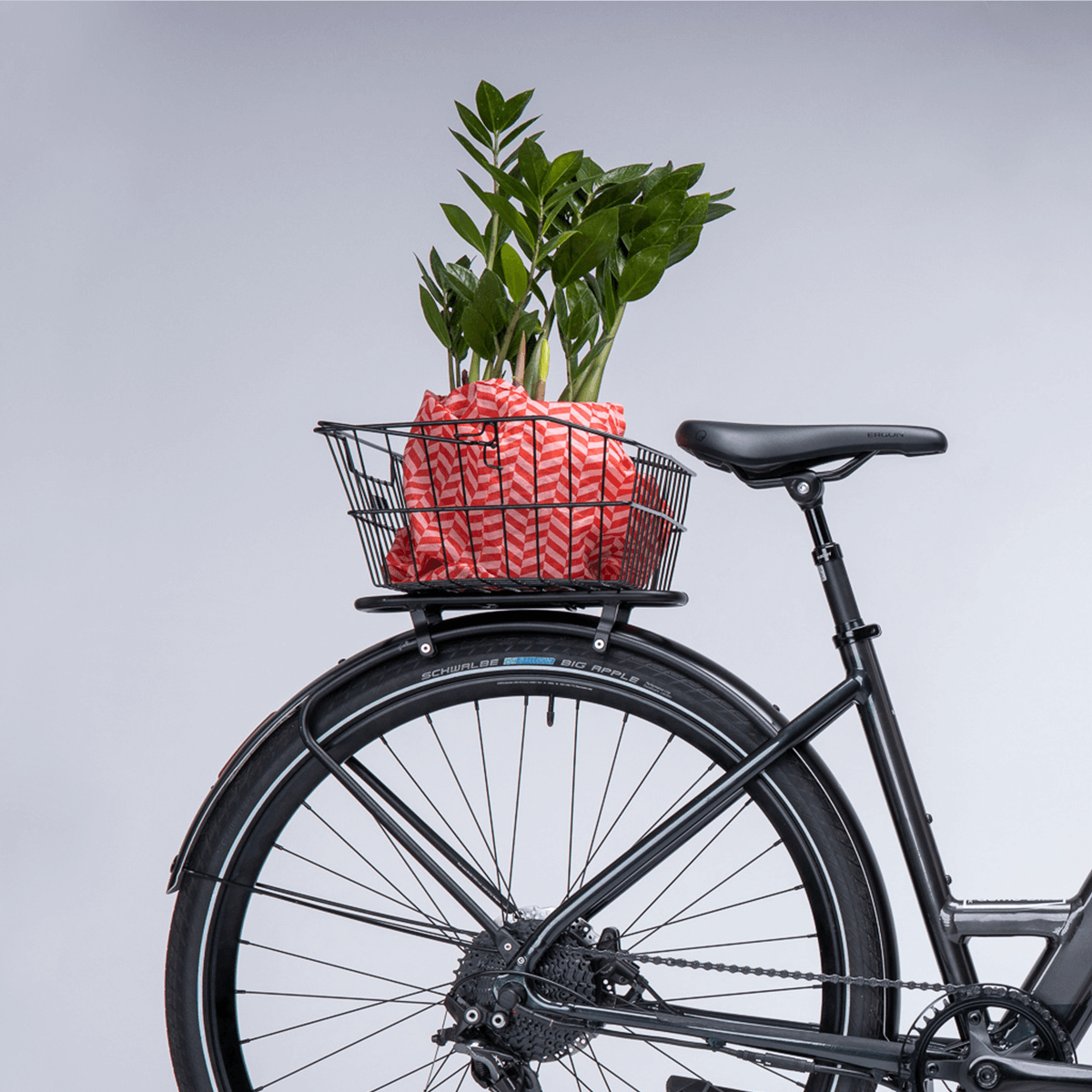 Racktop mit Federklappe