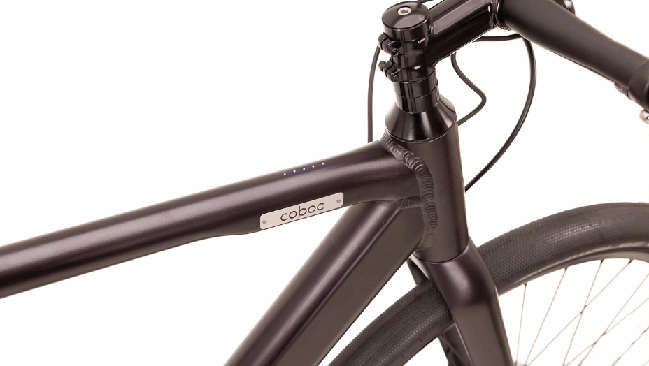 Coboc Brooklyn FAT Disco Purple